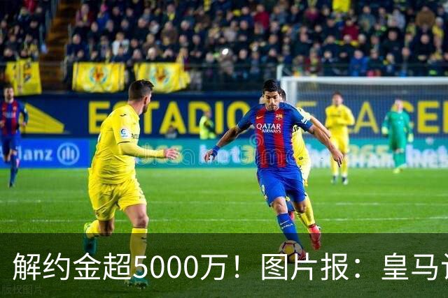 解约金超5000万！图片报：皇马计划报价施洛特贝克，球员向往皇马